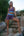 Oban - Shorts - Purple Gray/Hellblau